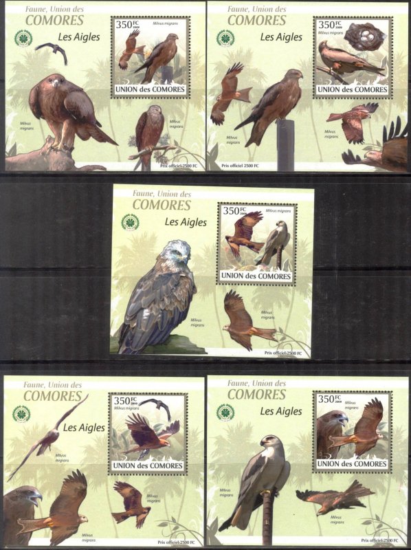 {095} Comoros 2009 Birds Eagles 5 S/S Deluxe MNH**