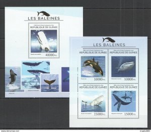 2014 Guinea Fauna Fish & Marine Life Whales Kb+Bl ** Stamps St714