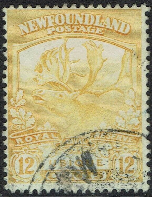 NEWFOUNDLAND 1919 CARIBOU 12C USED 