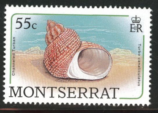 Montserrat Scott 687 MNH** sea shell 1988 stamp