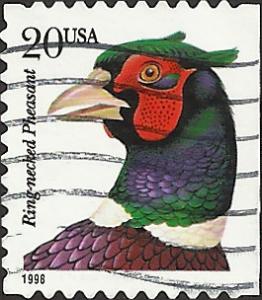 # 3050 USED RING-NECKED PHEASANT