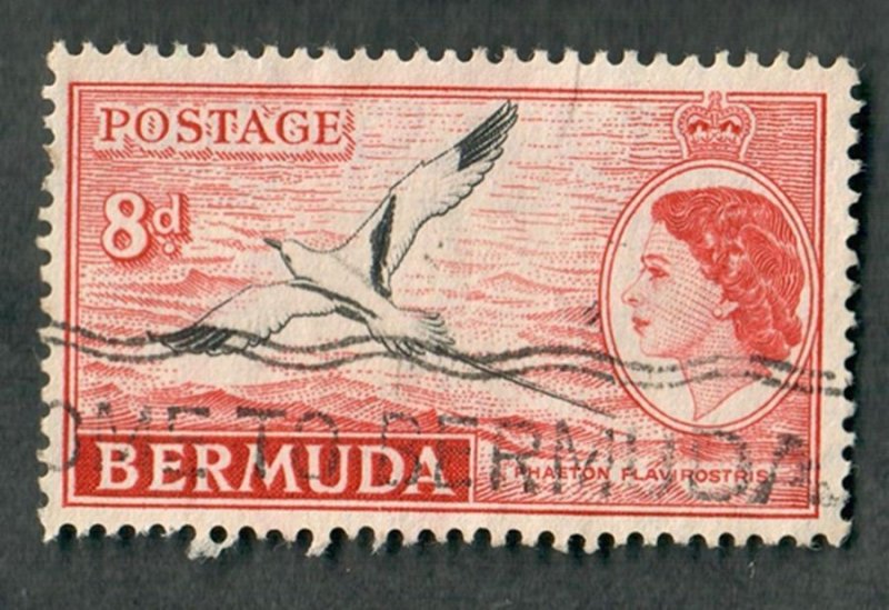 Bermuda #153 used single