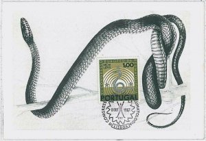 32746 - PORTUGAL - MAXIMUM CARD - 1967 - Fauna REPTILES snake #3-