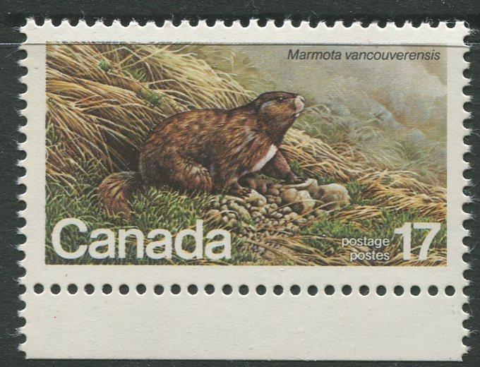 STAMP STATION PERTH Canada #883 Wildlife Issue 1981 MNH CV$0.30