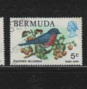 BERMUDA #365 1978 5c EASTERN BLUEBIRD F-VF USED a