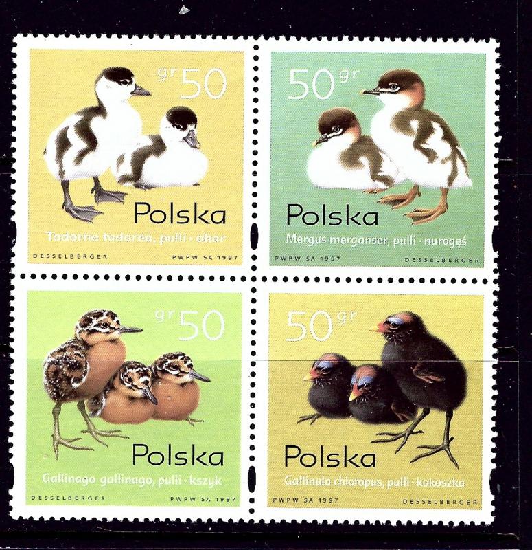 Poland 3377 MNH 1998 Baby Birds block of 4