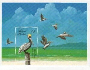 Antigua 1988 - Tropical Birds Pelican - Souvenir Stamp Sheet - Scott #1082 - MNH