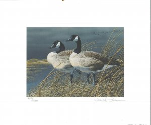 NEBRASKA #1 1991 STATE   DUCK  STAMP PRINT CANADA GEESE by Neal Anderson