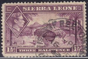 Sierra Leone 175A USED 1941 Rice Harvesting