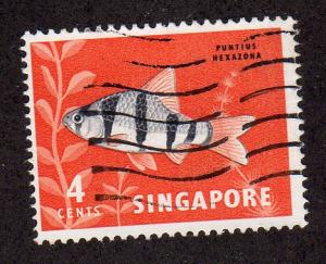 Singapore 54 - Used - Tiger Barb ($0.60)  (2)