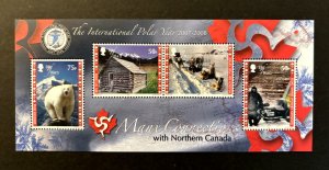 Isle of Man: 2007, International Polar Year (Issue 2)  MNH. M/Sheet