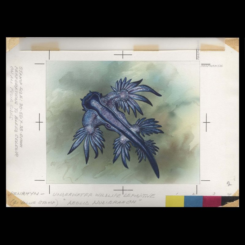Penrhyn 1993 Aeolid Nudibranch watercolour artwork By Gordon Drummond ✔️