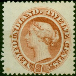 Newfoundland 1870 12c Chestnut SG33 Fine MM (2)