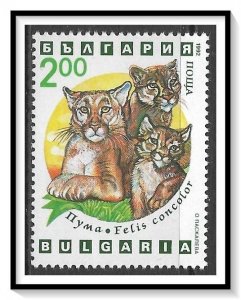 Bulgaria #3741 Wild Cats MNH