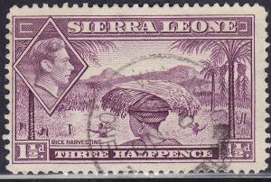 Sierra Leone 175A USED 1941 Rice Harvesting