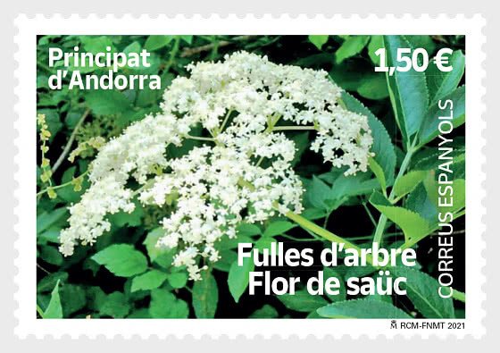 2021 Sp Andorra Elderflower (Scott NA) MNH