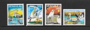 BIRDS - SENEGAL #1129-32 MNH