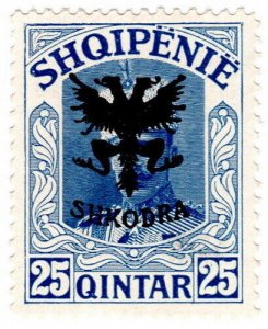 (I.B) Albania Postal : Prince William 25q Overprint