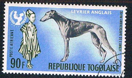 Togo C64 Used Grayhound (BP11818)