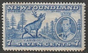 Newfoundland #235 Mint HR VF  (1260)