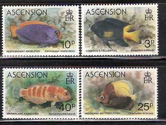 Ascension Island 1980 Marine Life, Fish 4V Set  MNH # 1745