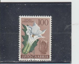 Yugoslavia  Scott#  546  CTO  (1959 Jimson Weed)