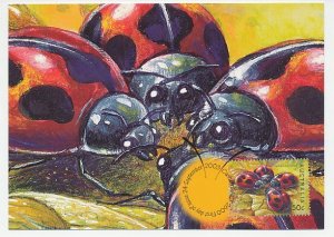 Maximum card Australia 2003 Ladybirds