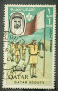Qatar #60 USED top value scouts