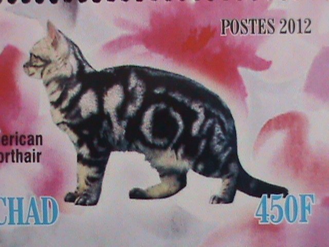 CHAD STAMP 2012  COLORFUL BEAUTIFUL LOVELY CATS-MNH MINI SHEET #2 VERY FINE