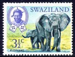 Swaziland - 1969 3½c Elephant MNH** SG 165