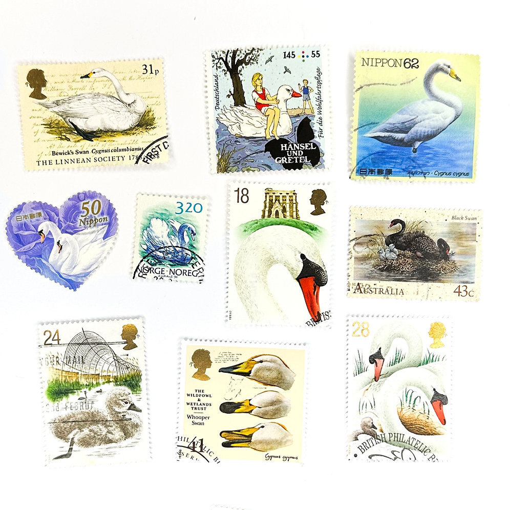 10 x Swan postage stamps all different, from 4 countries off paper