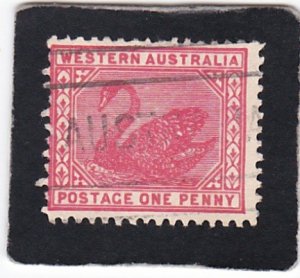 Western Australia,  #  76    used
