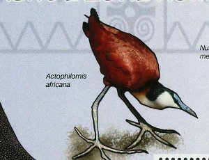 Wetland Birds Stamp Rostratula Benghalensis Souvenir Sheet MNH #3438 / Bl.498 