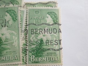 Bermuda #145 used  2022 SCV = $0.25