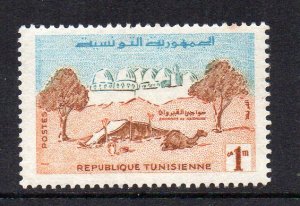 TUNISIA - 1959 - AROUND KAIROUAN - CAMEL -