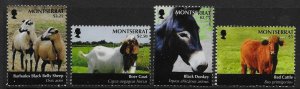 MONTSERRAT SG1481/4 2011 ANIMALS SET MNH