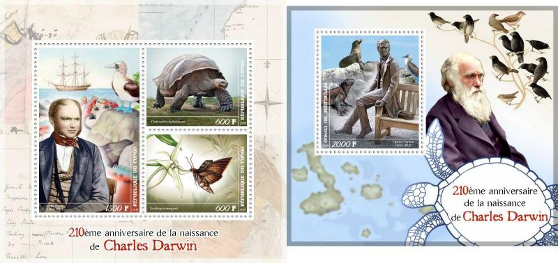 CHARLES DARWIN TURTLE BUTTERFLY FAUNA EVOLUTION THEORY CONGO 2019 MNH STAMP SET