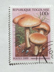 Togo – 2000 – Single Mushroom Stamp – SC# 1938A - Used