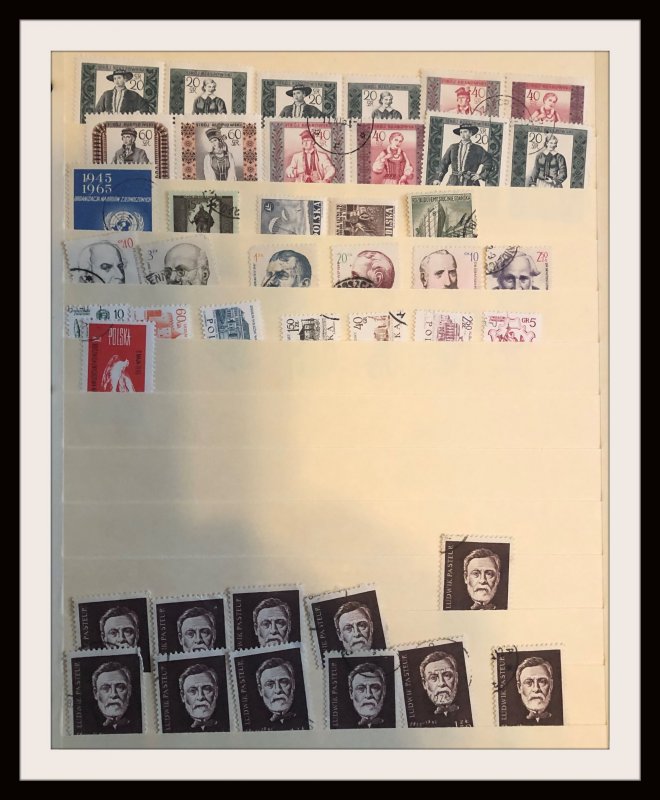 Medium Size Foreign Accumulation