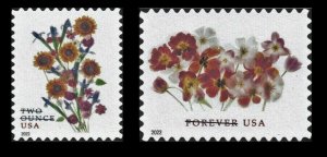 #5681 - 5682 2022 Sunflower Bouquet/Tulips set/2 - MNH
