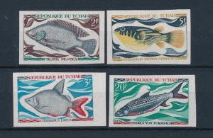 [47607] Tchad 1969 Marine life Fish Imperforated Rare MNH