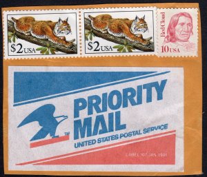 Scott #2482 $2 Bobcat Pair of Stamps & #2175 Red Cloud on Paper