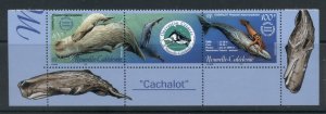 New Caledonia 2002 Operation Cetacean, Whales MUH