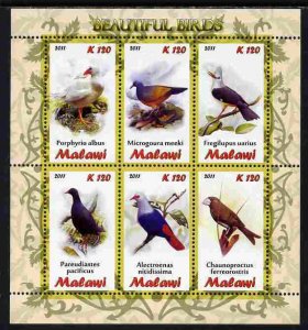 MALAWI - 2011 - Birds of the World - Perf 6v Sheet - MNH - Private Issue