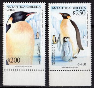 Chile 1992 Sc#1020/1021 EMPEROR PENGUINS CHILENIAN ANTARCTIC SET (2) MNH