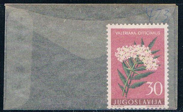 Yugoslavia 473 Unused Valerian 1957 (YB0116)