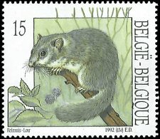 BELGIUM   #1465 MNH (1)