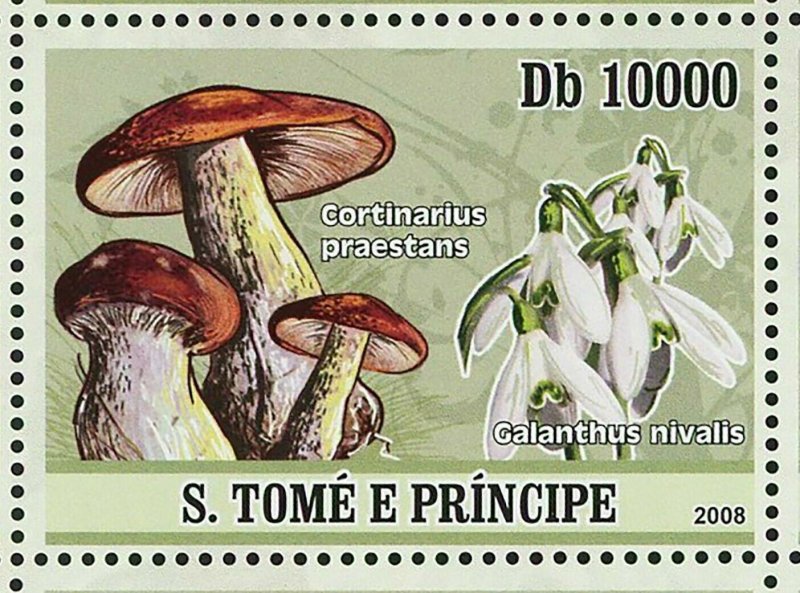 Mushrooms Stamp Orchids Entoloma Clypeatum Calypso Bulbosa S/S MNH #3402-3410