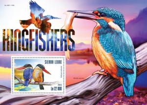 SIERRA LEONE 2015 SHEET KINGFISHERS BIRDS srl15309b