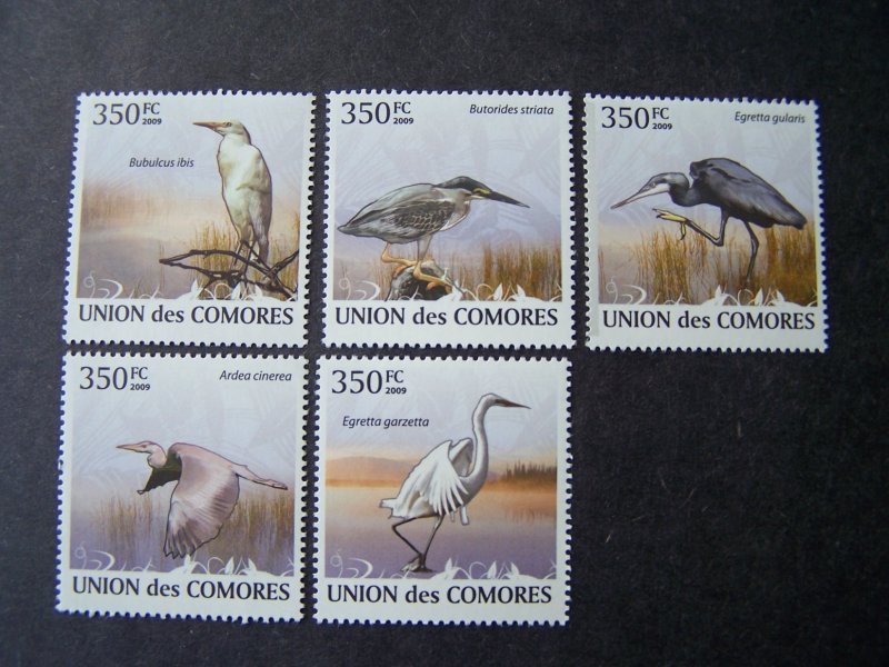 Comores Comoro 2009 MNH Birds wather